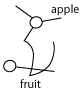 'oulApple 'epolFruit. 