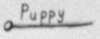 mo-puppy